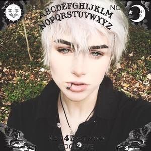 Meet your Posher, Zane